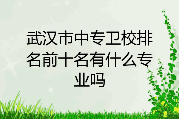 武汉市中专卫校排名前十名有什么专业吗