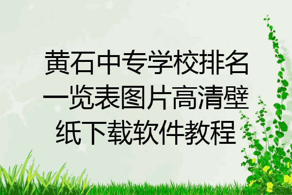 黄石中专学校排名一览表图片高清壁纸下载软件教程