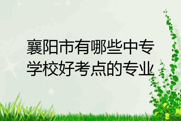 襄阳市有哪些中专学校好考点的专业