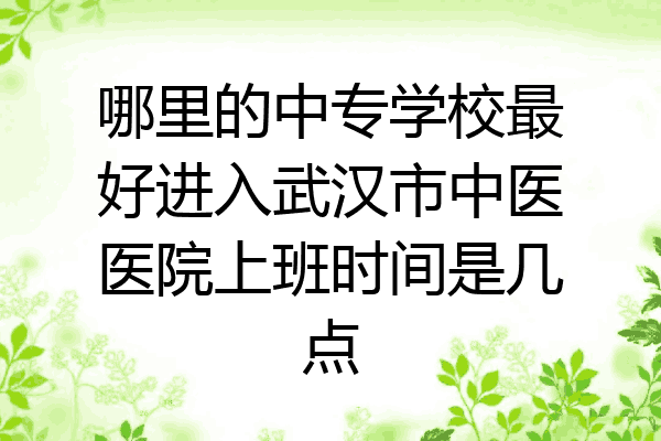 哪里的中专学校最好进入武汉市中医医院上班时间是几点