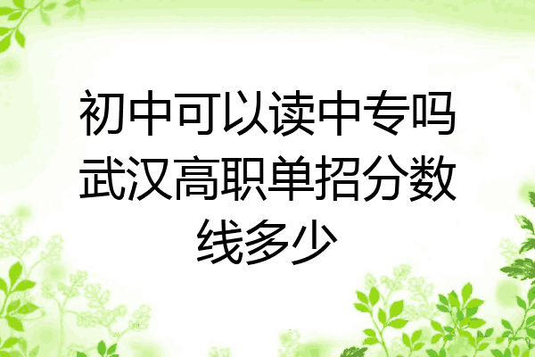 初中可以读中专吗武汉高职单招分数线多少