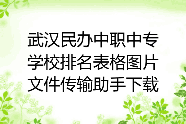 武汉民办中职中专学校排名表格图片文件传输助手下载