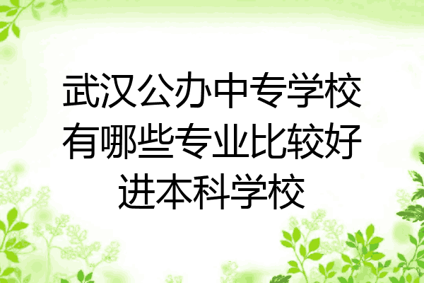 武汉公办中专学校有哪些专业比较好进本科学校