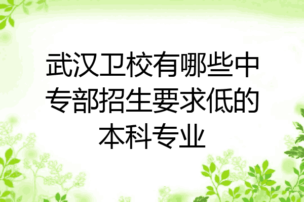 武汉卫校有哪些中专部招生要求低的本科专业