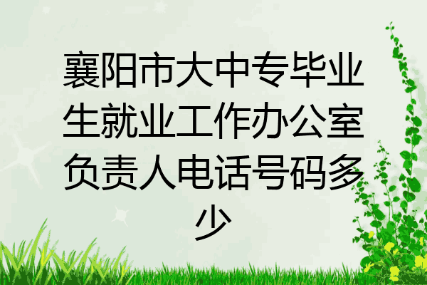 襄阳市大中专毕业生就业工作办公室负责人电话号码多少
