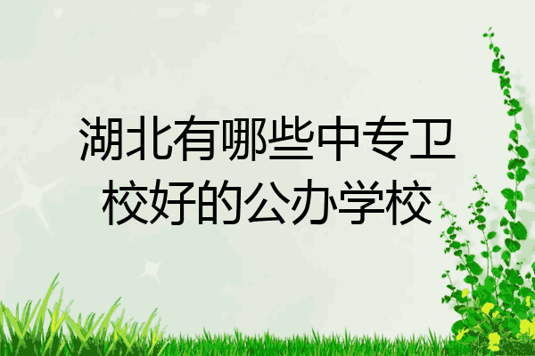 湖北有哪些中专卫校好的公办学校