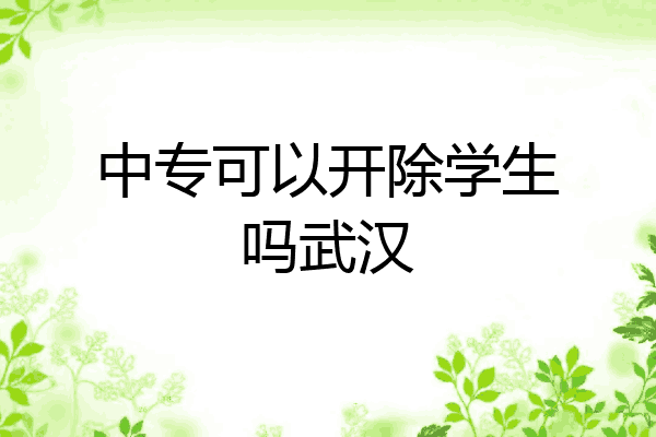 中专可以开除学生吗武汉