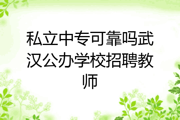 私立中专可靠吗武汉公办学校招聘教师