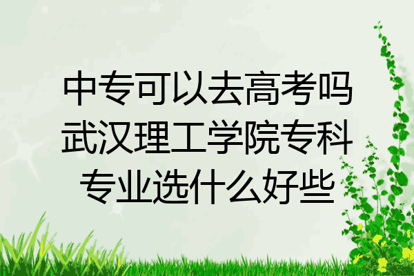 中专可以去高考吗武汉理工学院专科专业选什么好些