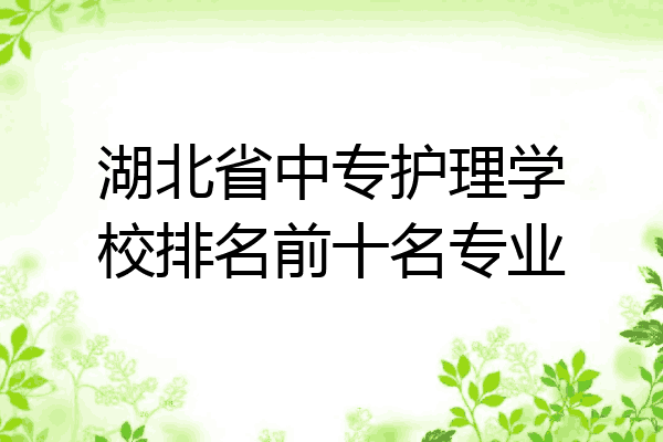 湖北省中专护理学校排名前十名专业