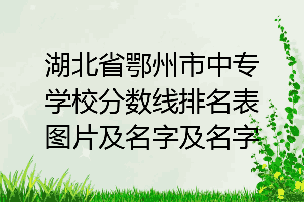 湖北省鄂州市中专学校分数线排名表图片及名字及名字