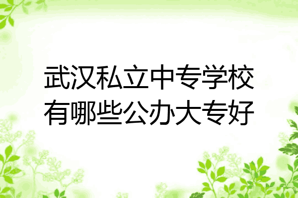 武汉私立中专学校有哪些公办大专好