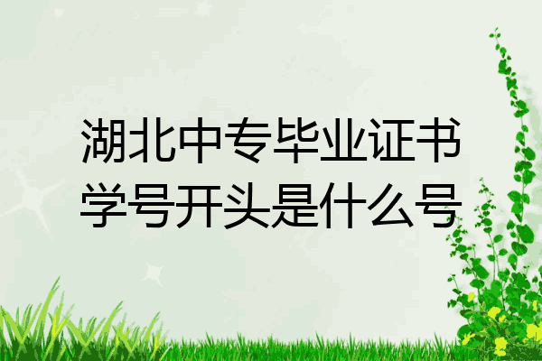 湖北中专毕业证书学号开头是什么号