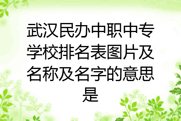 武汉民办中职中专学校排名表图片及名称及名字的意思是