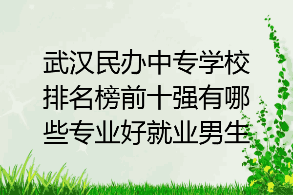 武汉民办中专学校排名榜前十强有哪些专业好就业男生