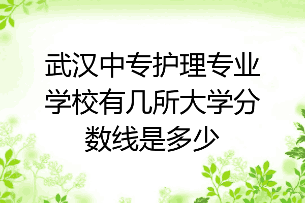 武汉中专护理专业学校有几所大学分数线是多少