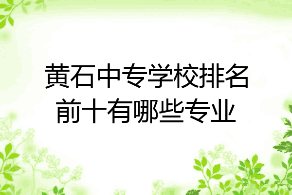 黄石中专学校排名前十有哪些专业