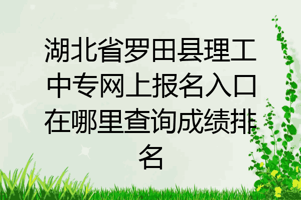 湖北省罗田县理工中专网上报名入口在哪里查询成绩排名