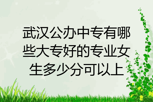 武汉公办中专有哪些大专好的专业女生多少分可以上