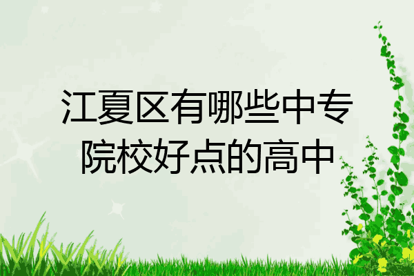江夏区有哪些中专院校好点的高中
