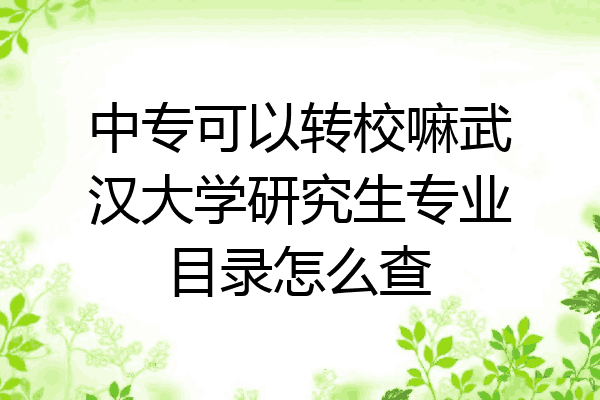 中专可以转校嘛武汉大学研究生专业目录怎么查