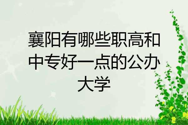 襄阳有哪些职高和中专好一点的公办大学