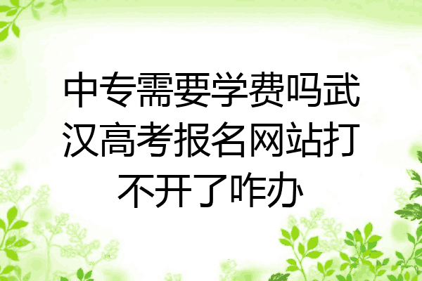 中专需要学费吗武汉高考报名网站打不开了咋办