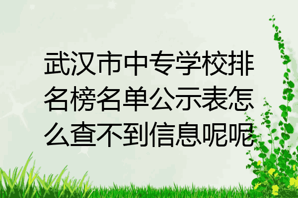 武汉市中专学校排名榜名单公示表怎么查不到信息呢呢