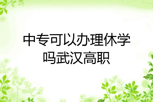 中专可以办理休学吗武汉高职