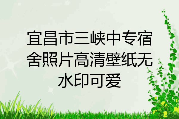 宜昌市三峡中专宿舍照片高清壁纸无水印可爱
