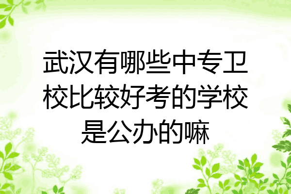 武汉有哪些中专卫校比较好考的学校是公办的嘛