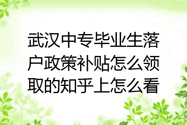 武汉中专毕业生落户政策补贴怎么领取的知乎上怎么看