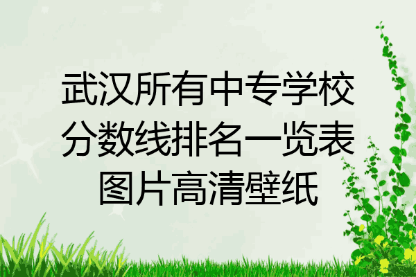 武汉所有中专学校分数线排名一览表图片高清壁纸