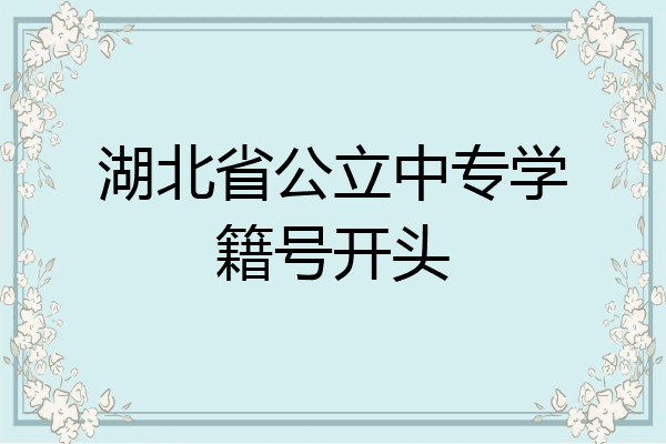 湖北省公立中专学籍号开头