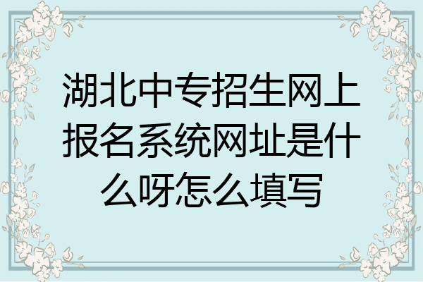 湖北中专招生网上报名系统网址是什么呀怎么填写