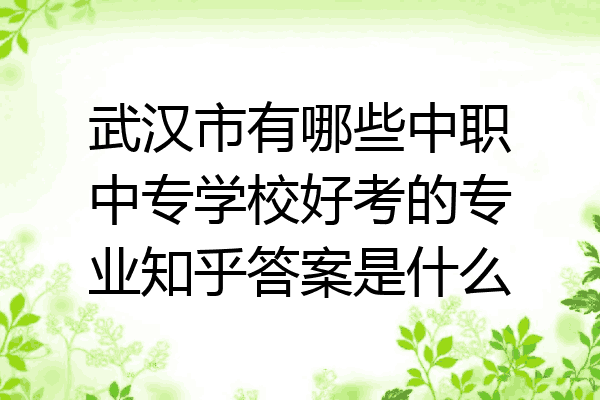 武汉市有哪些中职中专学校好考的专业知乎答案是什么
