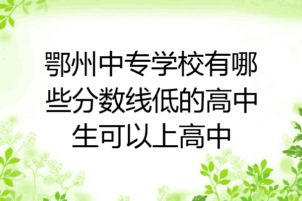 鄂州中专学校有哪些分数线低的高中生可以上高中