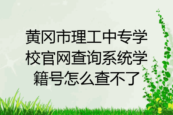 黄冈市理工中专学校官网查询系统学籍号怎么查不了