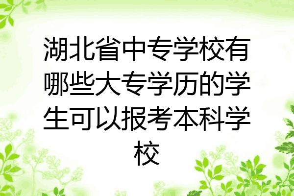 湖北省中专学校有哪些大专学历的学生可以报考本科学校