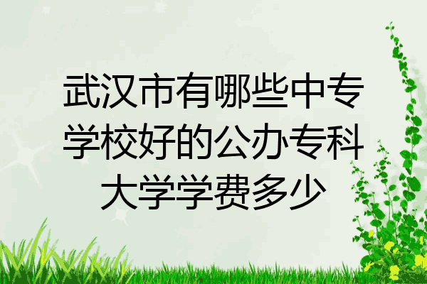 武汉市有哪些中专学校好的公办专科大学学费多少