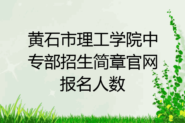 黄石市理工学院中专部招生简章官网报名人数
