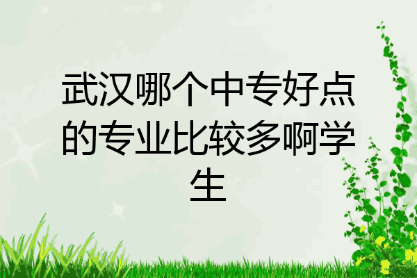 武汉哪个中专好点的专业比较多啊学生