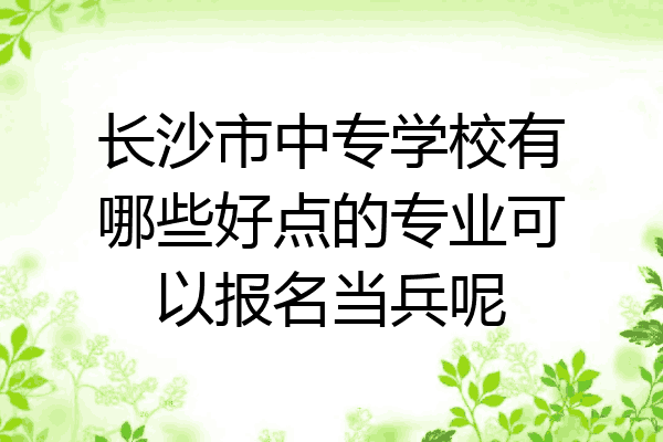 长沙市中专学校有哪些好点的专业可以报名当兵呢