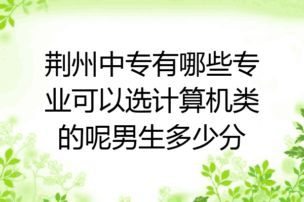 荆州中专有哪些专业可以选计算机类的呢男生多少分