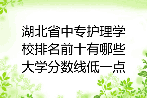 湖北省中专护理学校排名前十有哪些大学分数线低一点