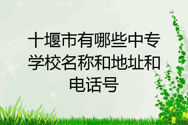 十堰市有哪些中专学校名称和地址和电话号