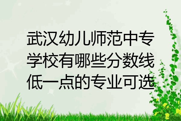 武汉幼儿师范中专学校有哪些分数线低一点的专业可选