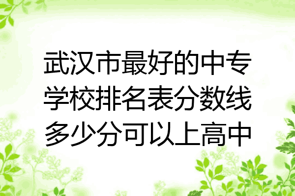 武汉市最好的中专学校排名表分数线多少分可以上高中
