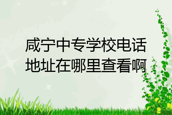 咸宁中专学校电话地址在哪里查看啊