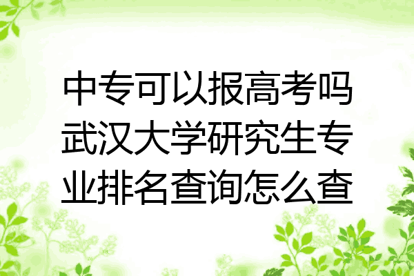 中专可以报高考吗武汉大学研究生专业排名查询怎么查